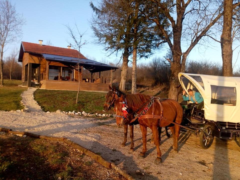Evergreen House Plitvice Rakovica Bagian luar foto